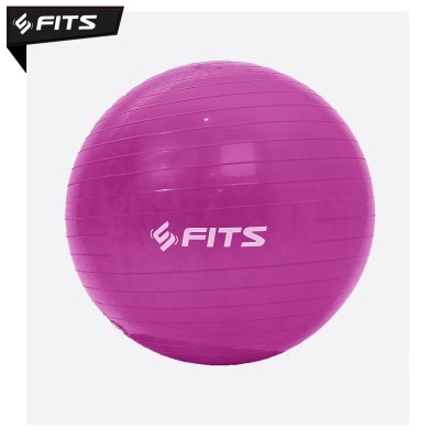 FITS Gym Yoga Ball
